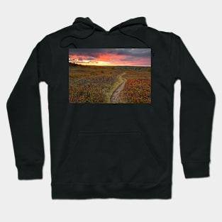 Dolly Sods Twilight Trail Hoodie